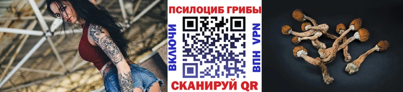 Псилоцибиновые грибы Psilocybe  Лагань 